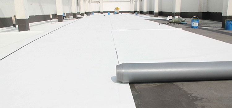 Thermoplastic Polyolefin Roofing Glendale